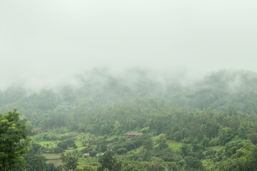 View of the forest mountains and fog