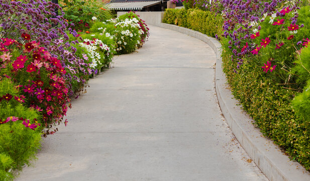Walkway in flower garden in summer time. View of Colourful Flowerbeds in a good care maintenance landscapes and walkway