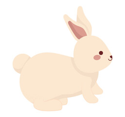 cute bunny illustration