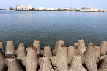 臨海とテトラポット