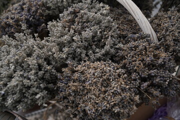 Bunches of lavender are on display at the sale exhibition.