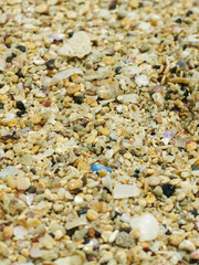 natural texture from beach sand full of broken corals, shells, small pebbles and stones