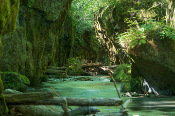 樽前ガロー 神秘的な渓流のイメージ  北海道苫小牧市