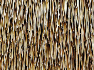 Full Frame Texture Background of Dry Brown Thatched Reed Wall