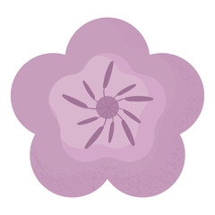 purple flower illustration
