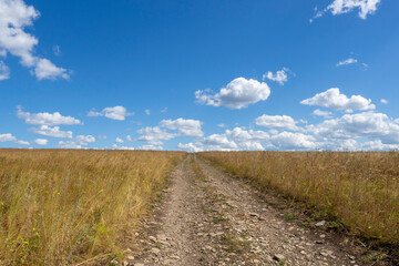 Fototapeta na wymiar Dirt road in the middle of a meadow with dry grass and a blue sky with white clouds.