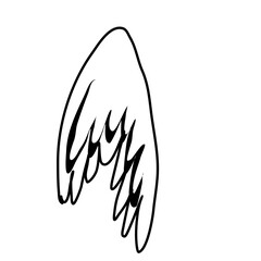 angel wings decoration