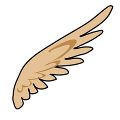 angel wings decoration