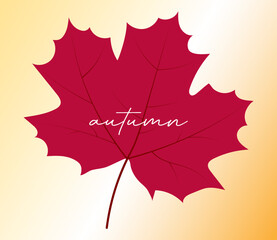 Autumn leaf on the background of the autumn sunset sky. Autumn. For websites, banners, posters, flyers, labels, postcards, presentations.