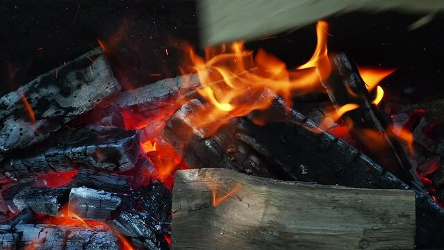 the firewood is burning, new logs are thrown up close-up