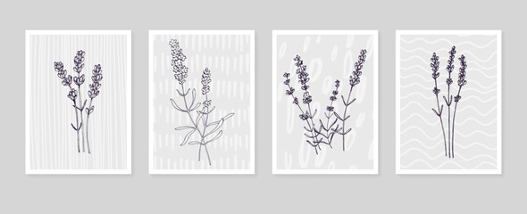 Set of Abstract Lavender Hand Painted Illustrations for Wall Decoration, minimalist flower in sketch style. Postcard, Social Media Banner, Brochure Cover Design Background. Modern Abstract Painting.