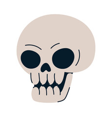 halloween human skull