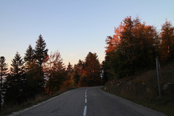 Fototapeta premium Road in autumn. Driving through the forest during fall season. Orange, red autumn leaves. 