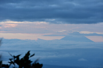 雲海の中に顔を出す富士の頂き