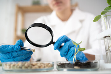 Chemical Laboratory of the Food supply. a lab assistant with a magnifying glass looks into a petri...