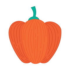 orange pumpkin illustration
