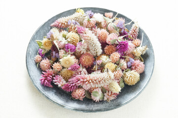 ピンク色のドライフラワー 