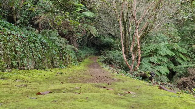 Yarra Ranges National Park is located in the Central Highlands of Australia's southeastern state Victoria, 107 km northeast of Melbourne. Established in 1995 and managed by the statutory authority