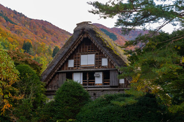 Fototapeta na wymiar House in old town Shirakawako