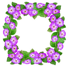 Fototapeta na wymiar square frame made of purple flowers