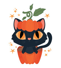 halloween cat in a pumpkin