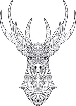 Vector illustration of animal ornament design