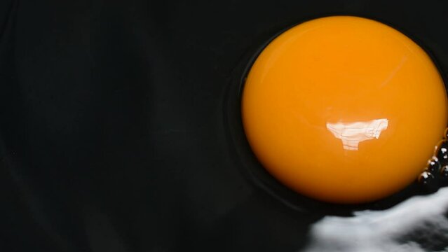 Chicken egg yolk on black background video