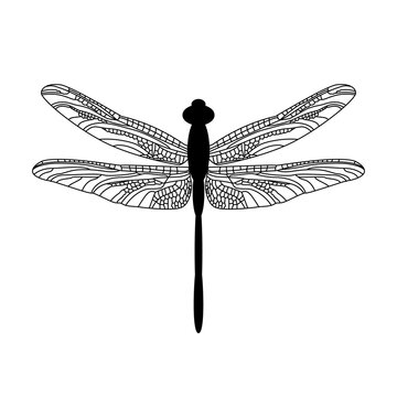 Beautiful dragonfly vector illustration on white background. Decorative silhouette of an insect isolated on a white background. Template for printing on t-shirts, mugs, posters, postcards