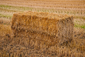 a square straw bale on a field