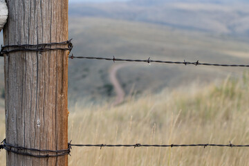 Selective focus of two strands of barbed wire fence coming off a wooden post in a ranch field with...