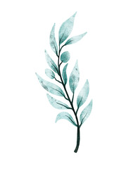 Watercolor leaf illustration 