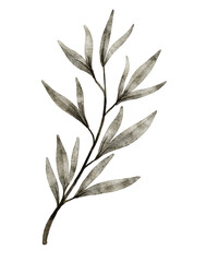 Watercolor leaf illustration 