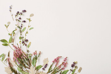 dried flowers on white background