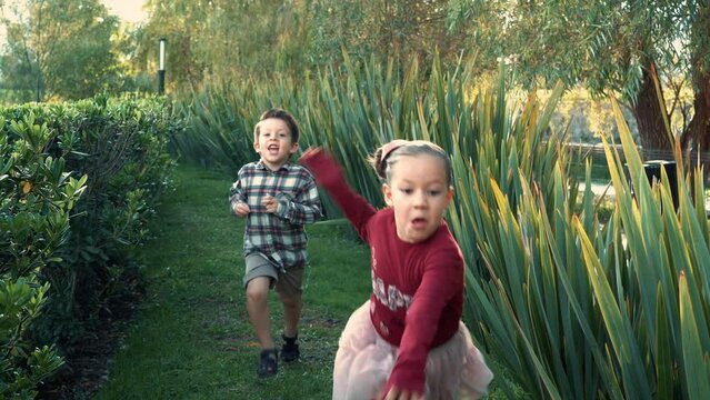 Niños amigos hermanos primos felices Corriendo en parque con pasto verde jugando a competencia entre plantas y pasto divertidos y disfrutando de un hermoso atardecer latinos rubios