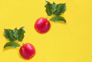 Top view of red apples on the yellow background. Copy space.
