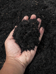 Top view of farmer hand holding compost soil black soil background, Hands ecology environment