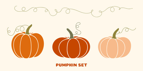 Set of pumpkins. Vector illustration of autumn ripe cozy squash. Thanksgiving day background. Hygge time. Halloween party kitchen linen decor with cartoon pumpkin. - 531384638