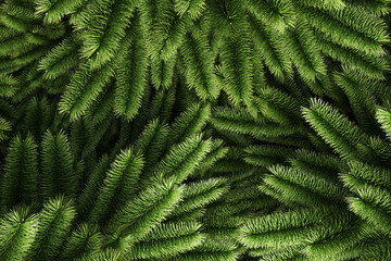 Lush needles of evergreen spruce close-up. Green background from branches. Realistic 3D rendering. Blank for a New Year or Christmas card.