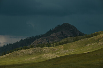 Green fields and slopes of the Altai Mountains