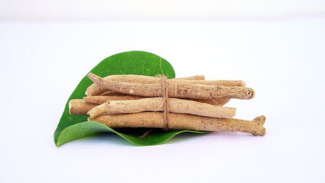 Ashwagandha Dry Root Medicinal Herb with Fresh Leaves, also known as Withania Somnifera, Ashwagandha, Indian Ginseng, Poison Gooseberry, or Winter Cherry. 