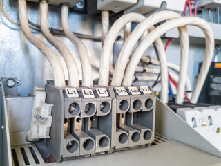 Row of fuses installed in electrical cabinet of automation system in industrial plant.