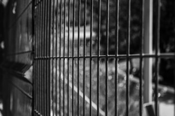 Fence made of thin metal rods in black and white