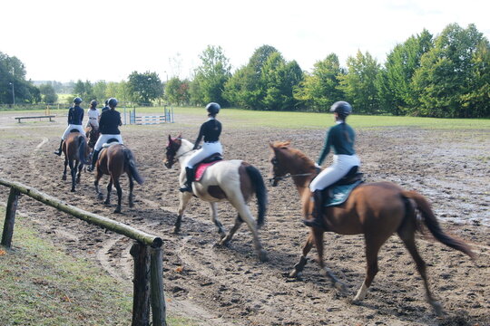 Konie. Stadnina w Smolajnach. Polska - Mazury - Warmia.