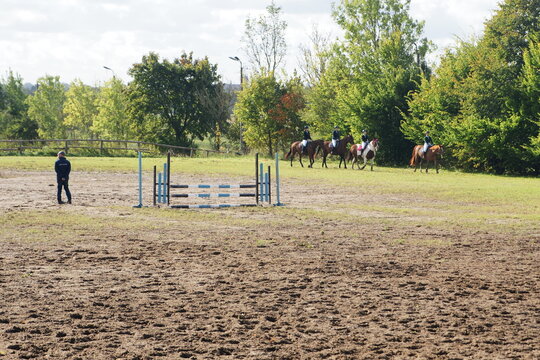Konie. Stadnina w Smolajnach. Polska - Mazury - Warmia.