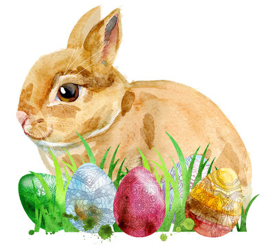 Watercolor illustration of a beige rabbit with eggs and grass