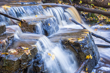 Waterfall in a creek with yellow autumn leaves