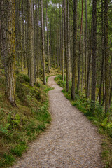 Hiking trail to the Prince Albert's Pyramid overlooking the Balmoral estate in Scotland