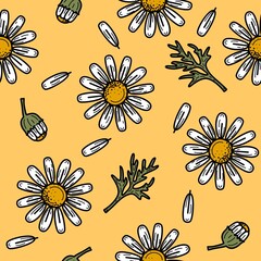 Chamomile seamless pattern with isolated white flowers, petals, buds and leaves. Outlined daisy flowers on light yellow background