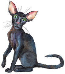 Watercolor oriental black cat. Painting animal illustration