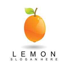 illustration of orange fruit